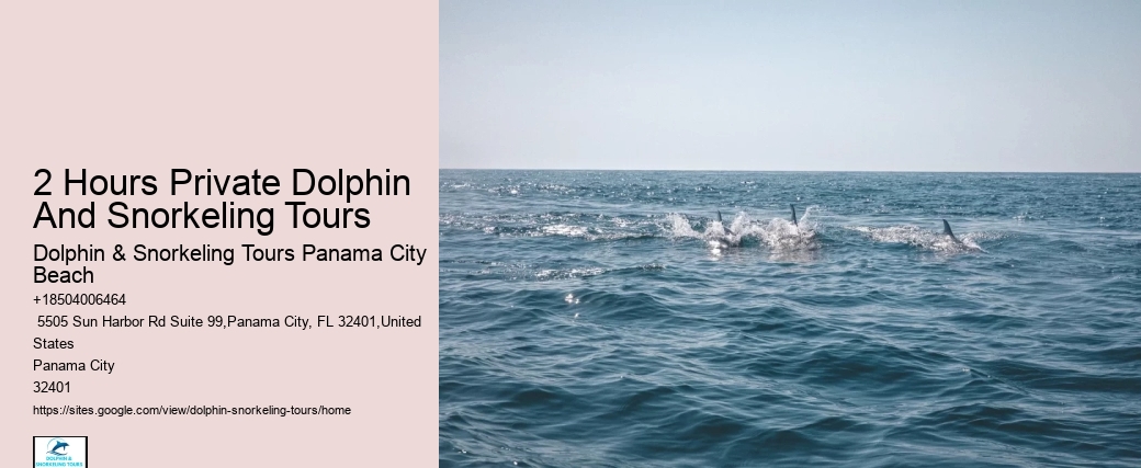 Split Bespoke Snorkeling And Dolphin Itineraries
