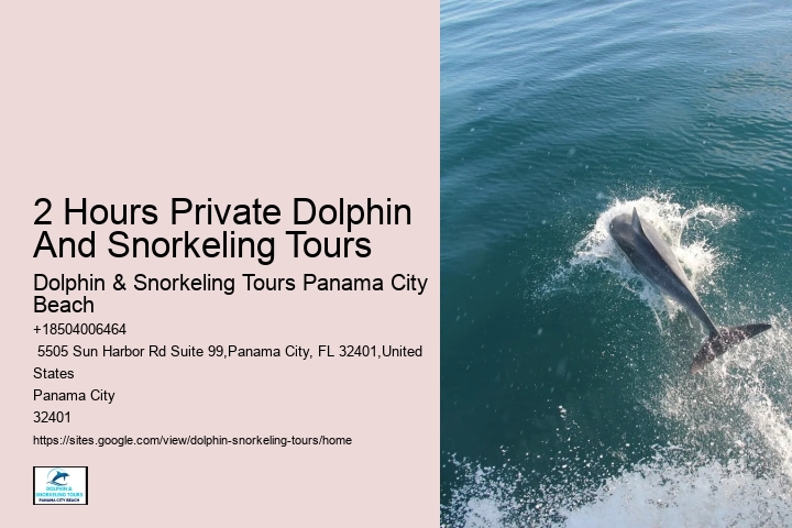 Before Your Tour - Dolphin Encounter