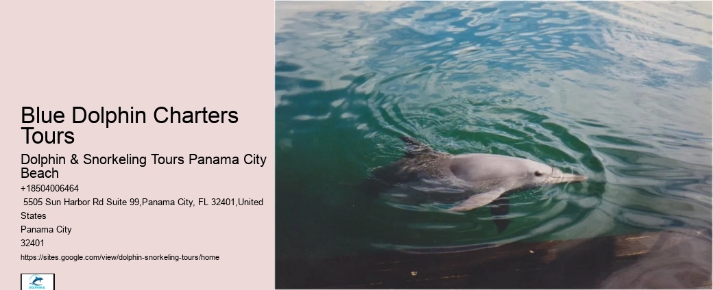 Are Panama City Beach dolphin tours suitable for people with disabilities