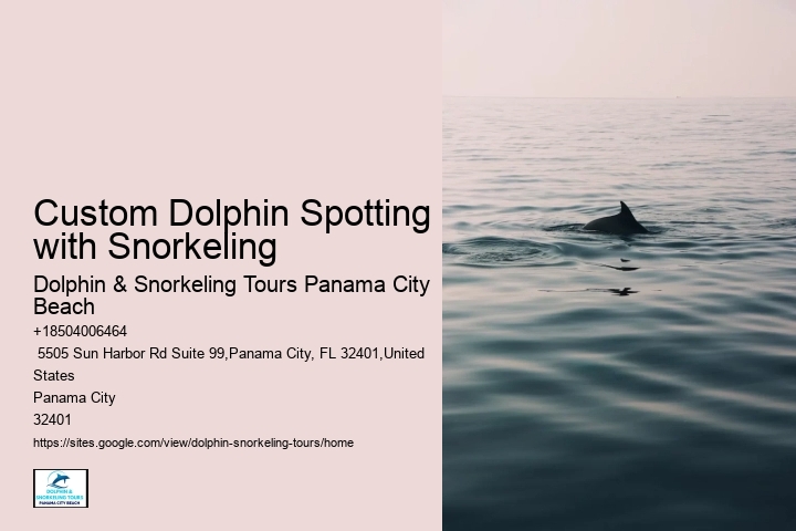 Snorkel Tours
