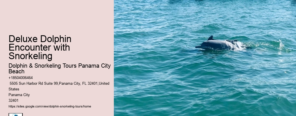 Tailored Dolphin Safari with Snorkeling