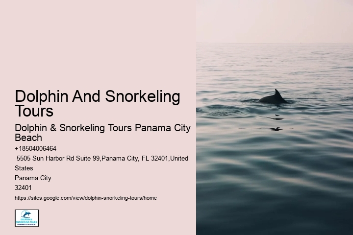 Dolphins In