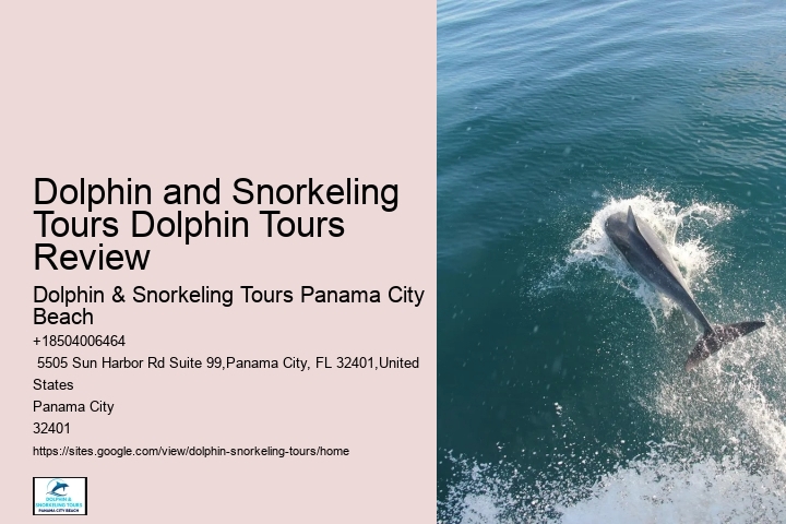 Split Coastal Tours With Dolphin Spotting And Snorkeling