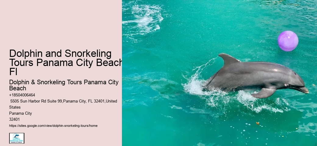 Panama City Beach Dolphin Tours