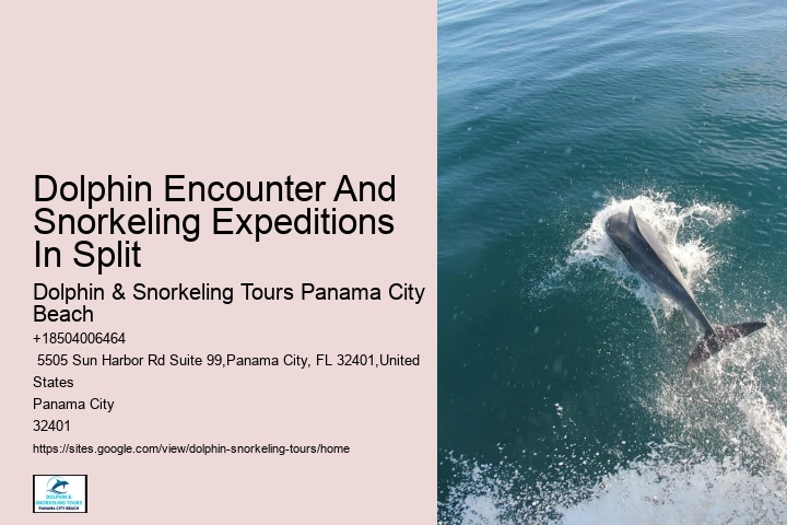 Best Sunset Dolphin Cruise Panama City Beach