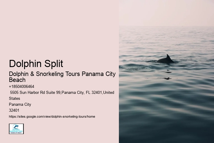 Are dolphin tours in Panama City Beach suitable for children