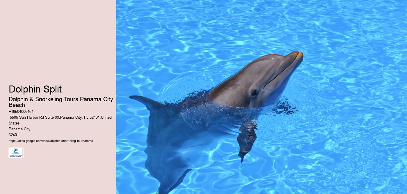 Dolphin Split