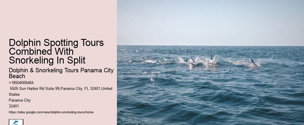 Panama City Beach dolphin watching excursions