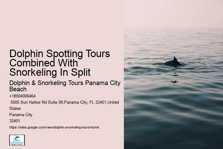 Split Snorkeling Expeditions With Dolphin Watching Included