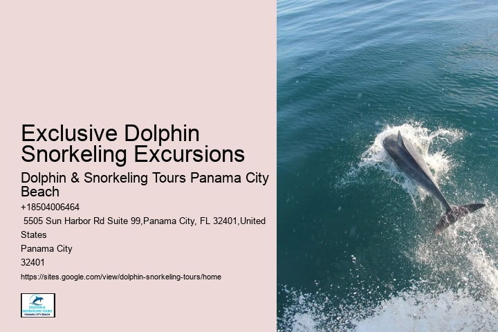 Can I request a specific guide for my dolphin tour
