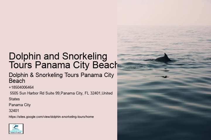Split Exclusive Charters For Dolphin And Snorkeling Adventures