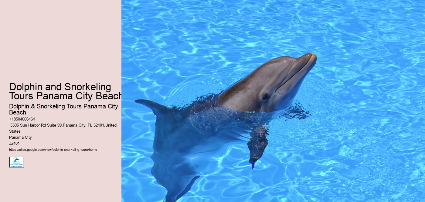 Dolphin and Snorkeling Tours Panama City Beach