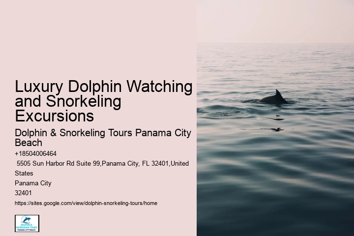 Jet Ski Dolphin Tours Panama City Beach Florida