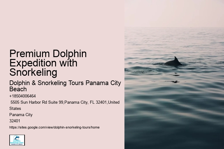 Custom Dolphin Encounter and Snorkeling Adventures