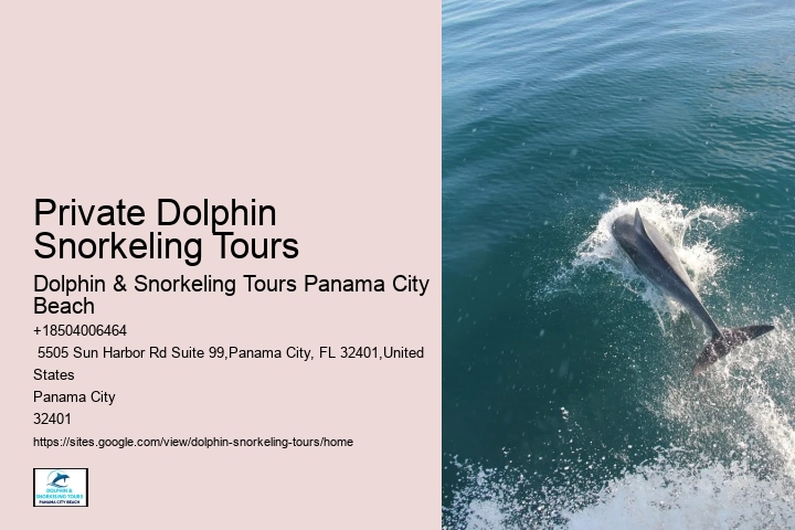 Panama City Dolphin