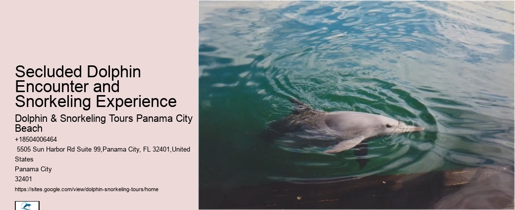 Do Dolphins Like Being Petted