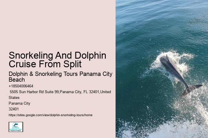 How Do Dolphins Know Humans Are Pregnant