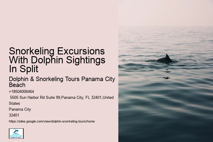 Where Is The Best Place To Swim With Dolphins