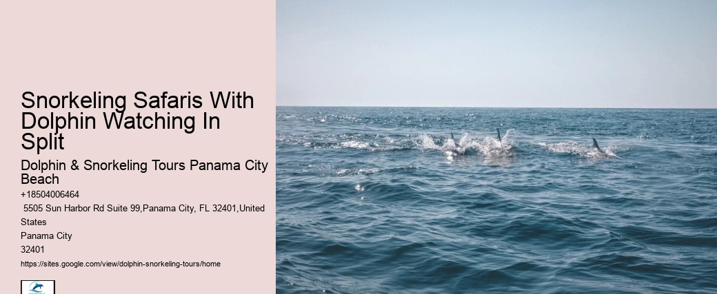 Panama City Beach Dolphin Cruises