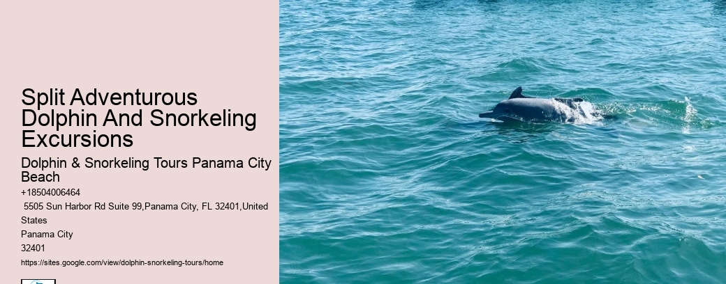 2 Hour Dolphin Cruise