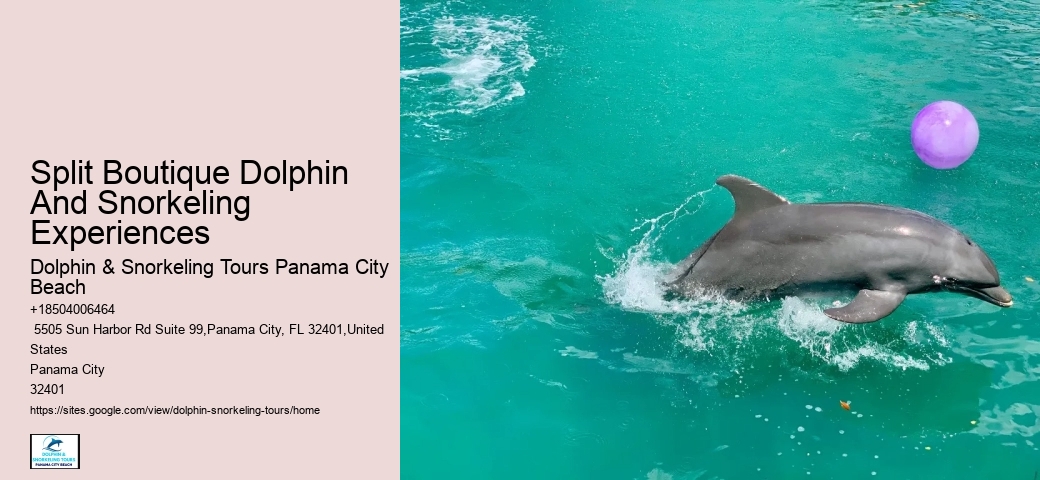 Snorkeling Charter Near Me
