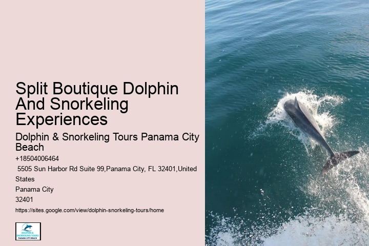 What Are The Negative Side Of Dolphins