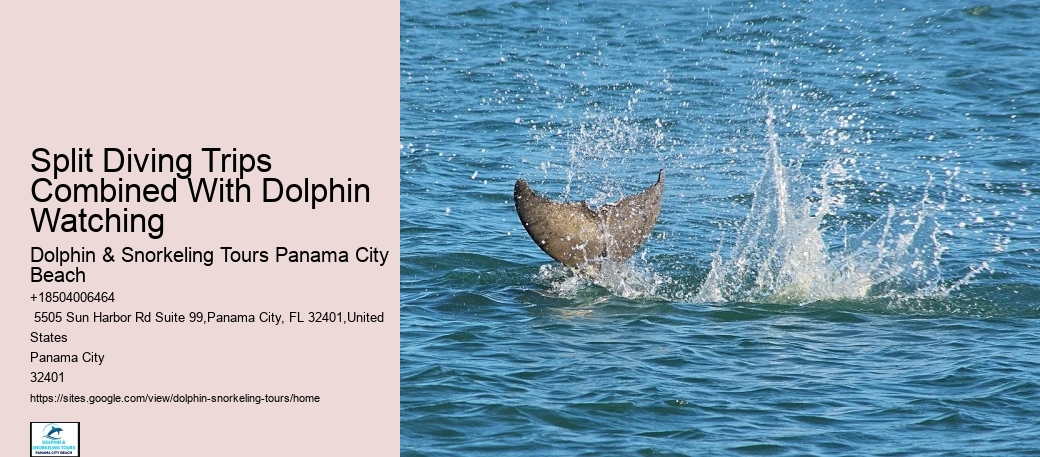 Boat Tours Panama City Beach