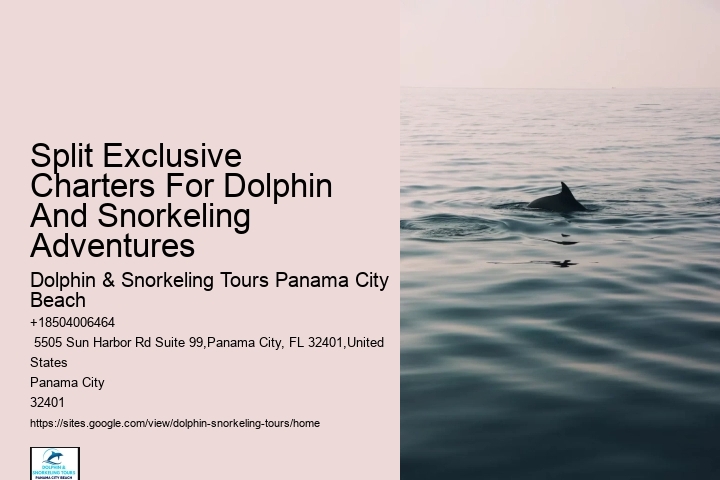 Split Expert-led Snorkeling And Dolphin Expeditions