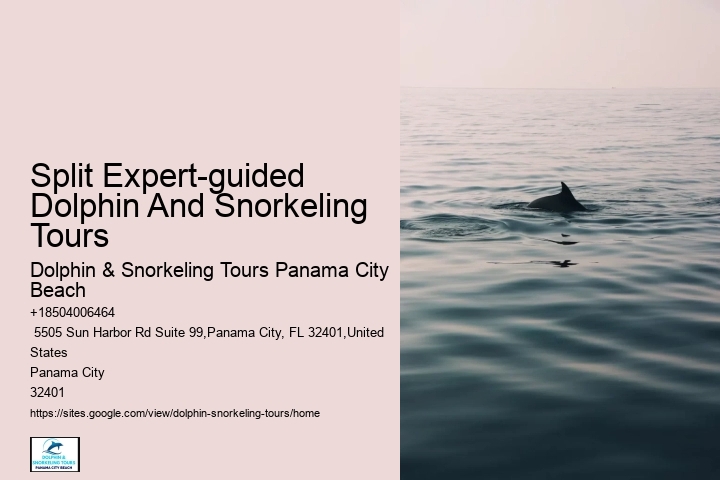 Dolphin Adventure Excursions in PCB
