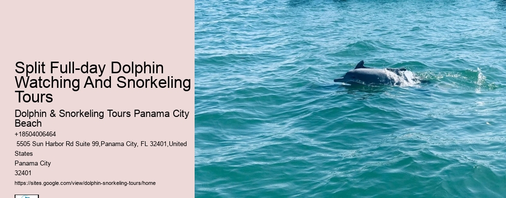 Split Memorable Dolphin And Snorkeling Adventures