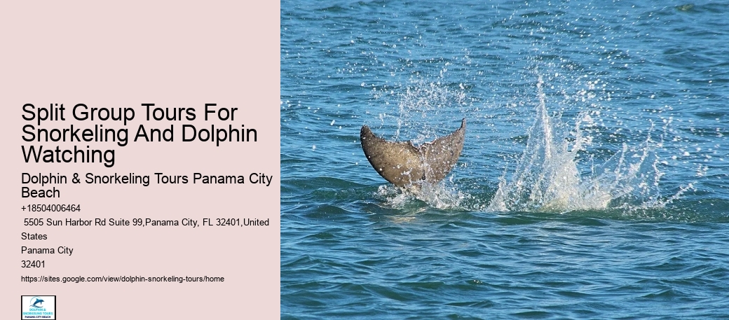 Split Off-the-grid Dolphin And Snorkeling Excursions