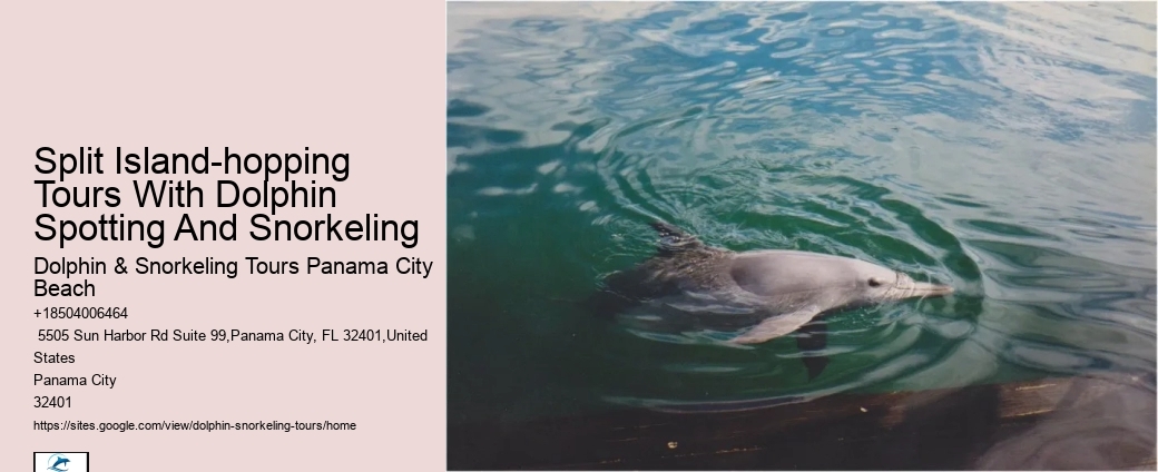 Are Panama City Beach dolphin tours environmentally friendly