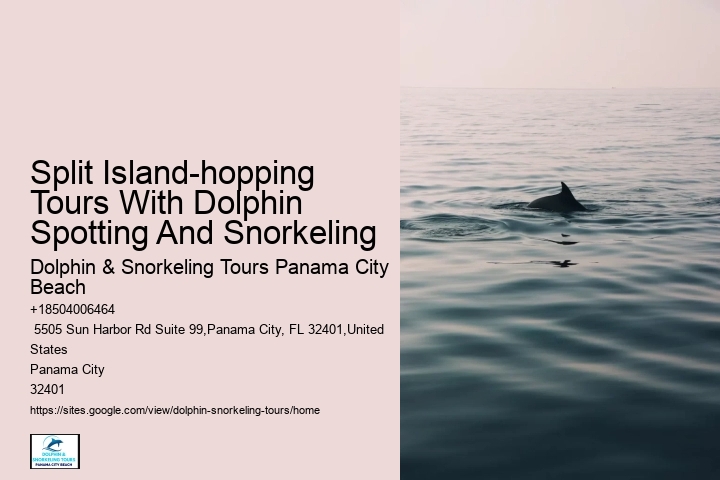 Split Vip Snorkeling And Dolphin Watching Tours
