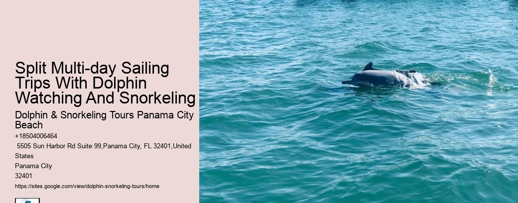 Split Multi-day Sailing Trips With Dolphin Watching And Snorkeling