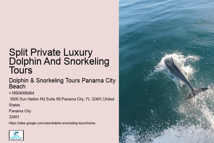Behind The Smiles: The Suffering Endured By Captive Dolphins