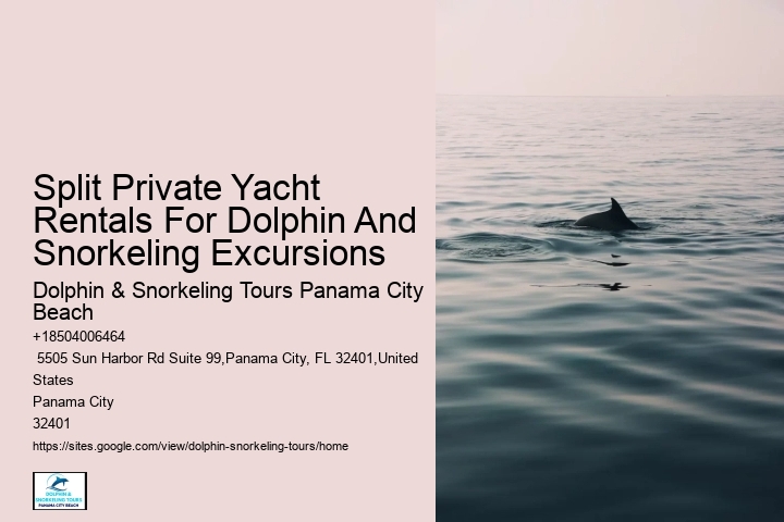 Can I book a private dolphin tour in Panama City Beach