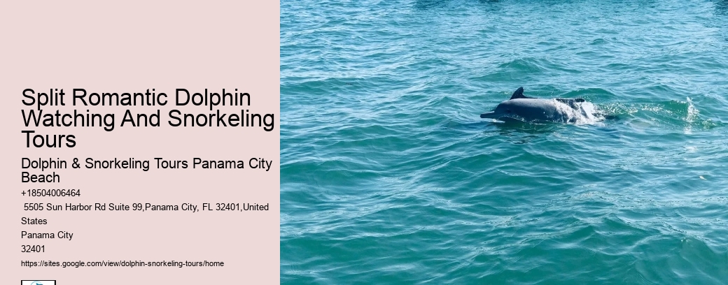 Snorkeling and Dolphin Tour