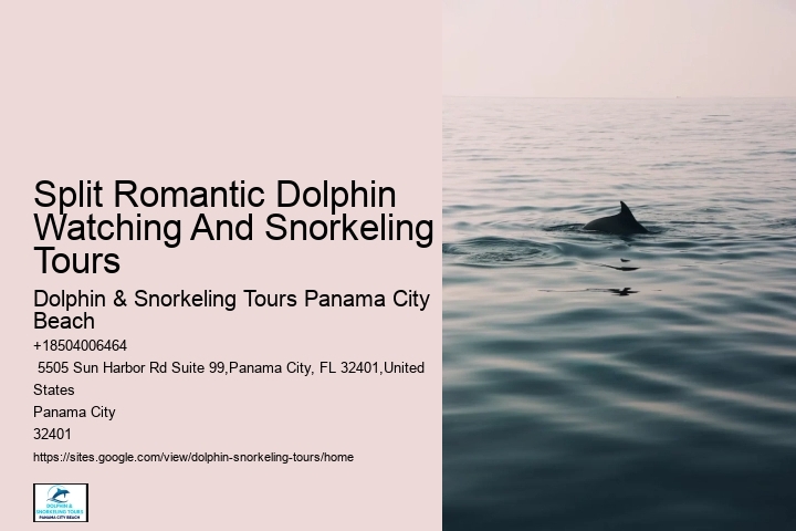 Split Personalized Snorkeling And Dolphin Charters