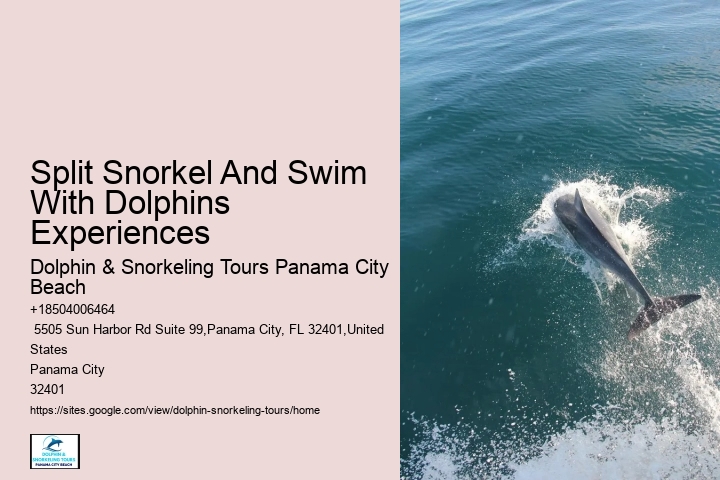 Is swimming with dolphins an additional cost on the tour