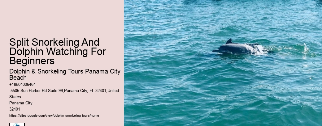 Split Private Luxury Dolphin And Snorkeling Tours