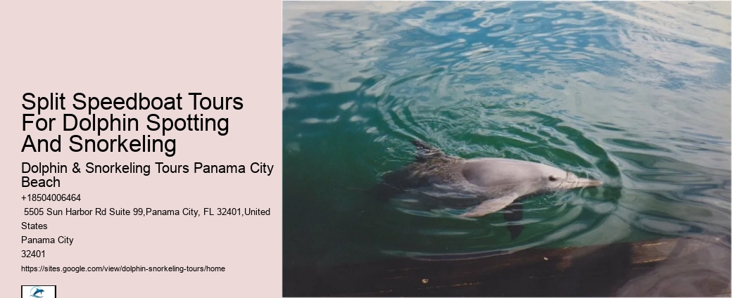 Panama City Dolphin Tours
