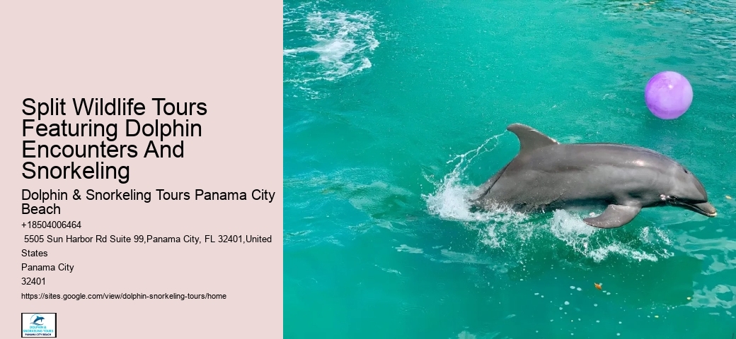 How Much Does Dolphin Cove Cost