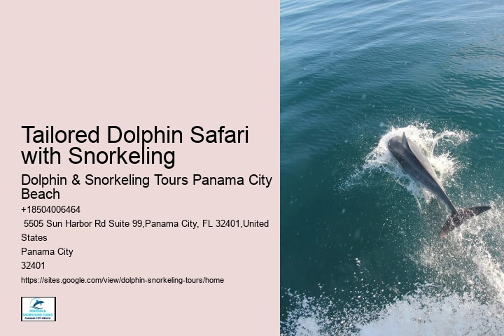 Charter Dolphin
