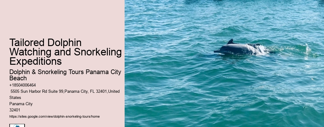 Dolphin encounters at Panama City Beach