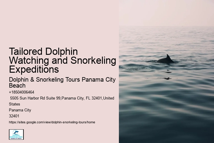 What Month Are Dolphins Most Active In Florida
